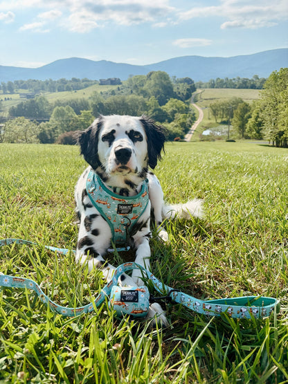 Dog Leash - Peanuts™ Road Tripping