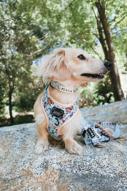 Dog Collar - Disney and Pixar's Toy Story