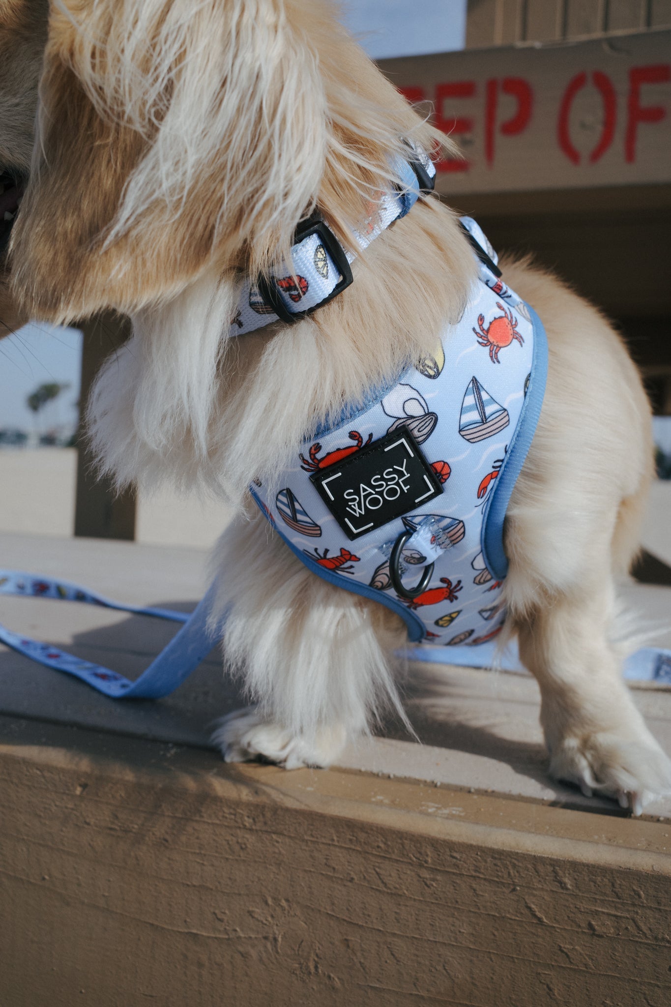 Dog Adjustable Harness -  Coastal Cuties