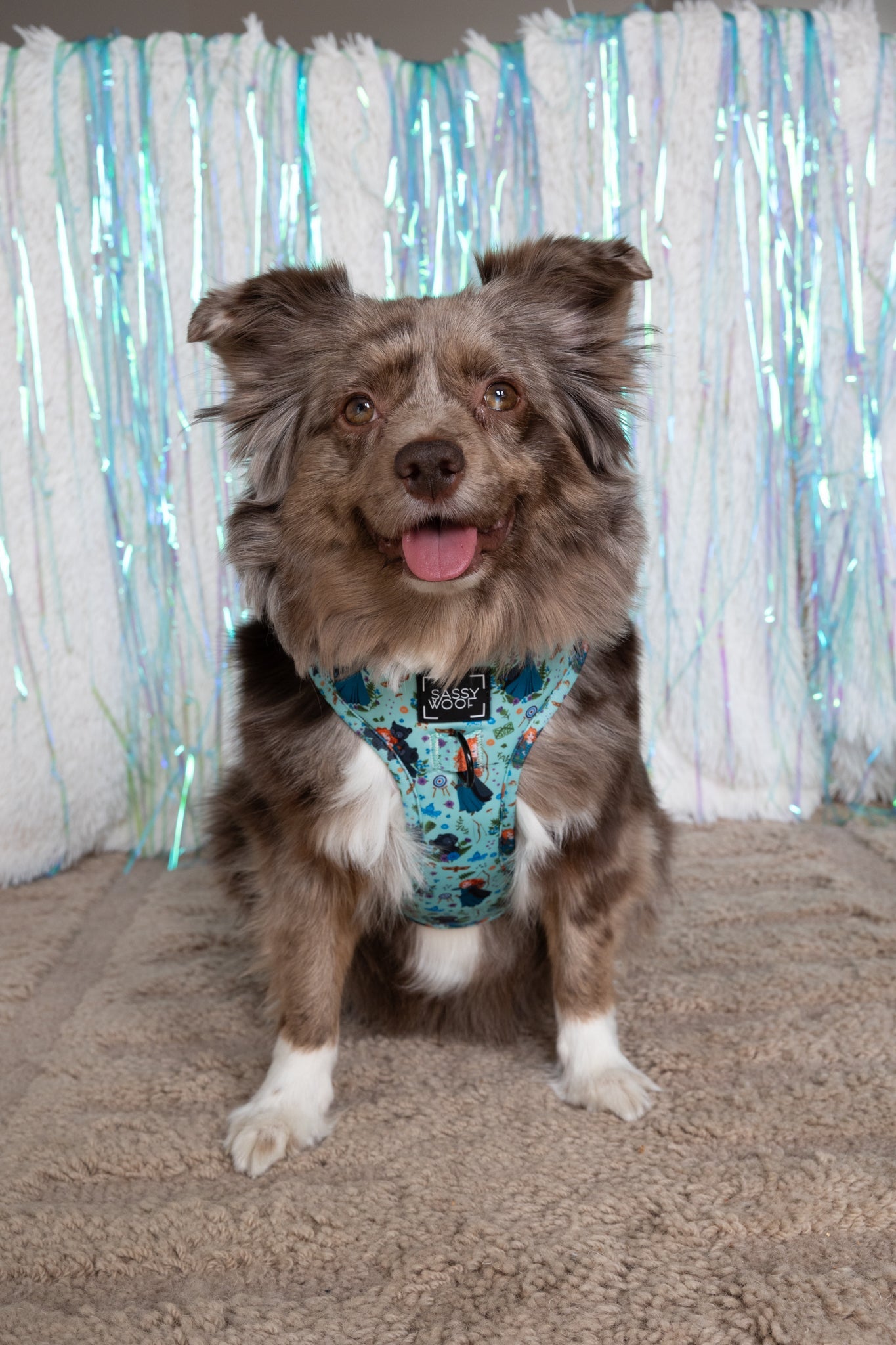 Dog Adjustable Harness - Disney's Merida