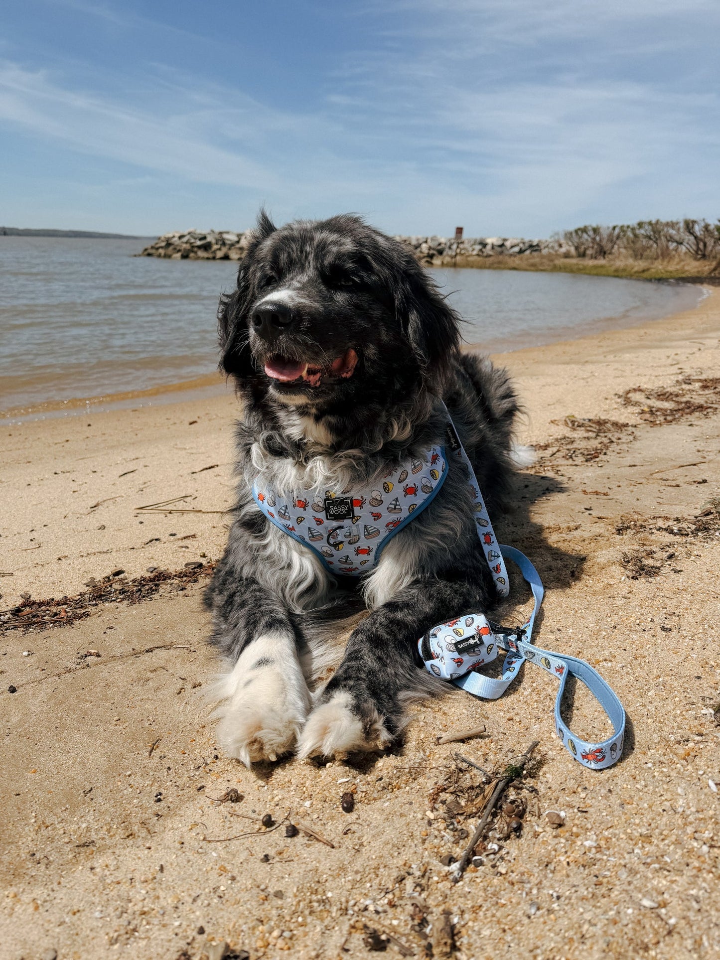 Dog Adjustable Harness -  Coastal Cuties