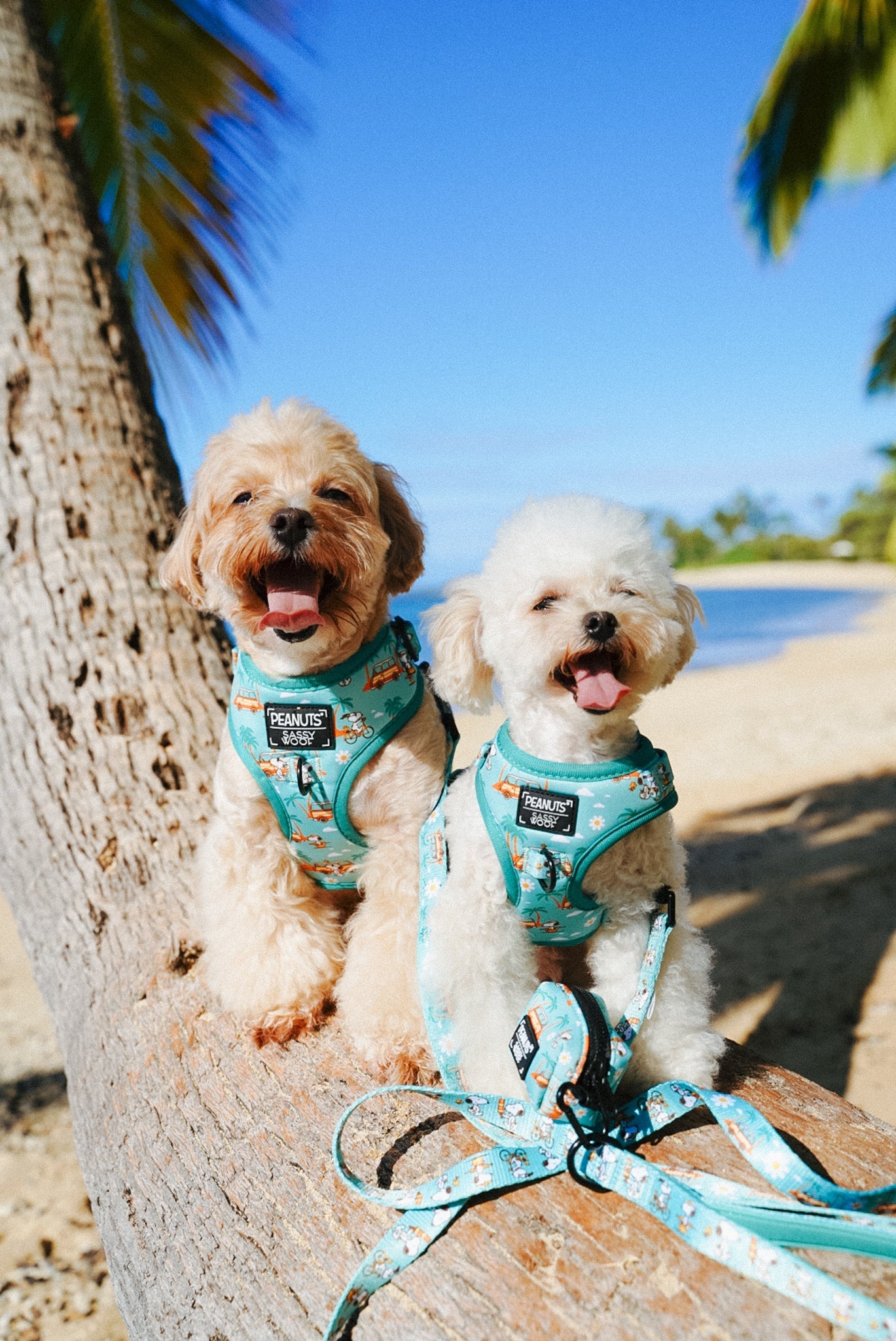 Dog Two Piece Bundle - Peanuts™ Road Tripping