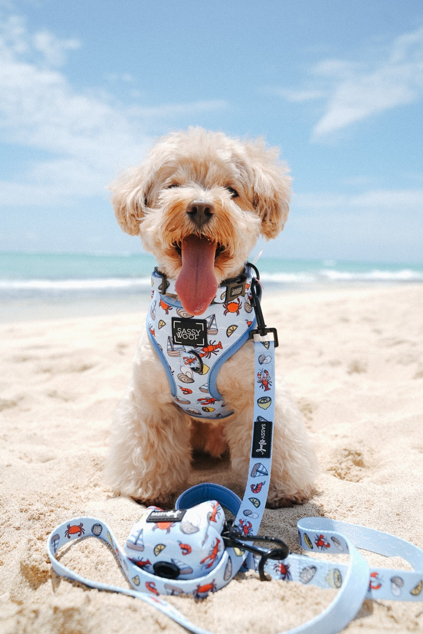 Dog Four Piece Bundle - Coastal Cuties