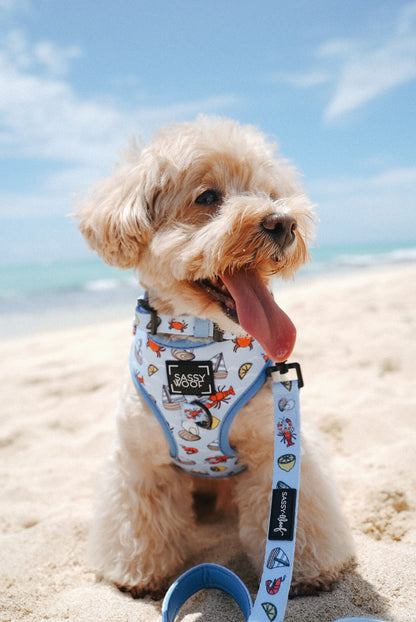 Dog Four Piece Bundle - Coastal Cuties