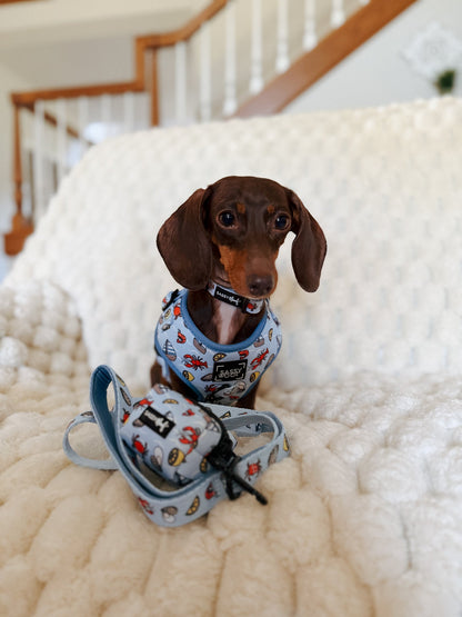 Dog Adjustable Harness -  Coastal Cuties