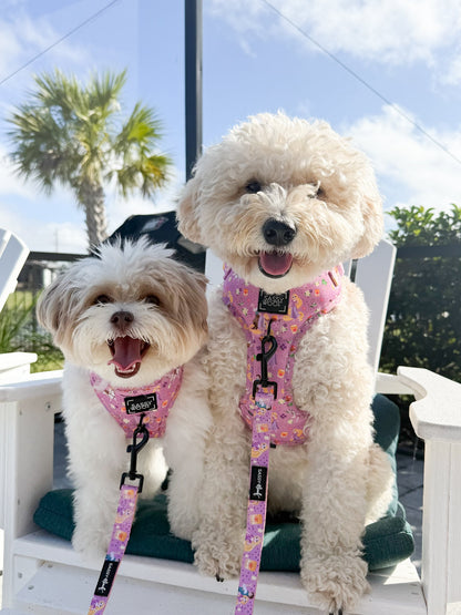 Dog Two Piece Bundle - Disney's Rapunzel