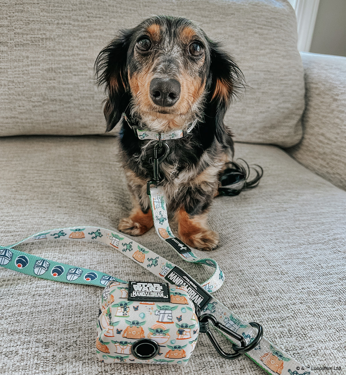 Dog Waste Bag Holder - STAR WARS™ The Child™