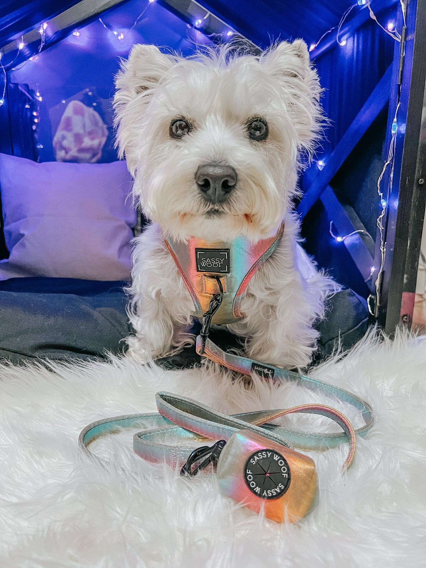 Dog Waste Bag Holder - The Night Life
