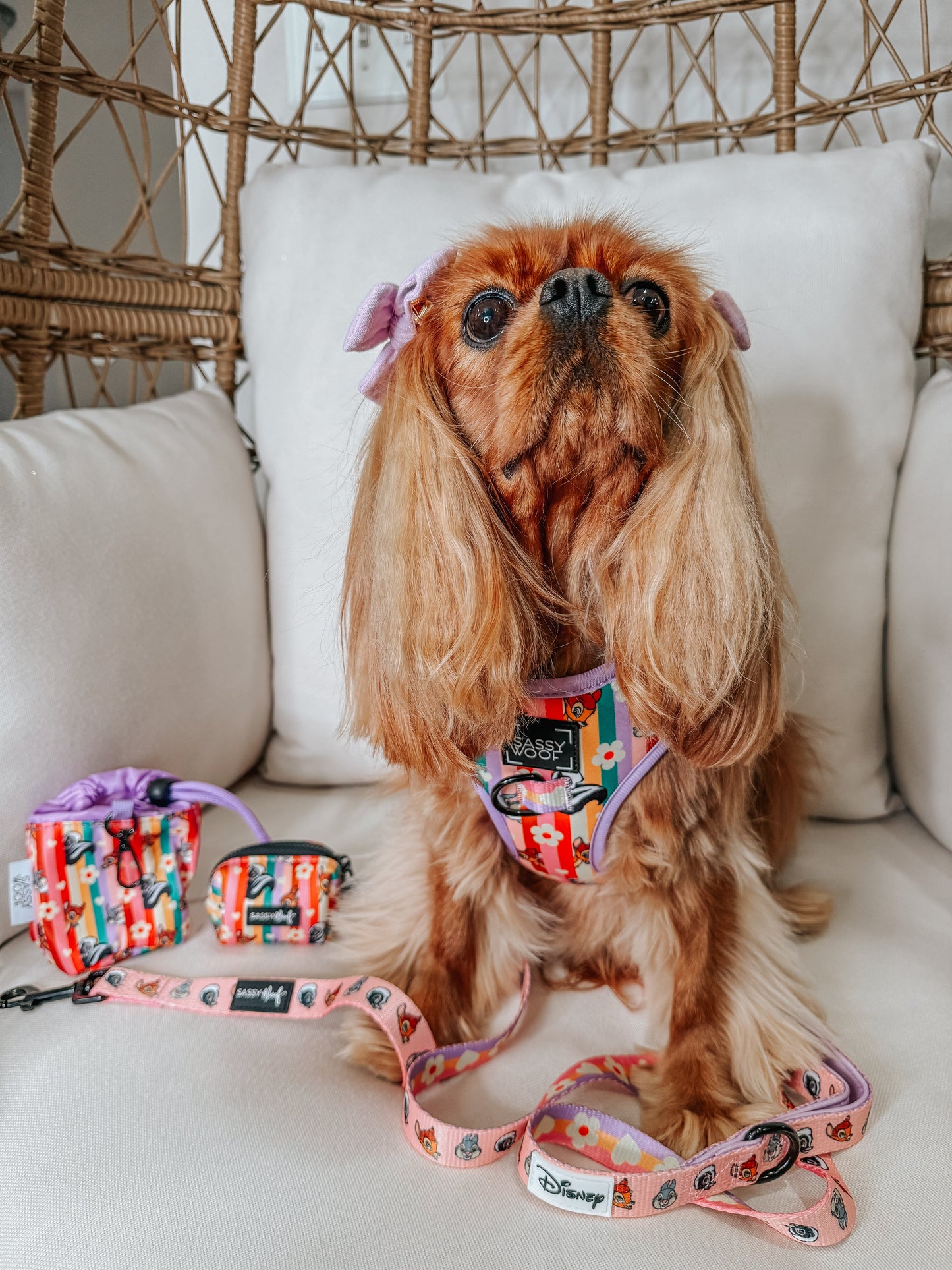 Dog Four Piece Bundle - Disney's Bambi