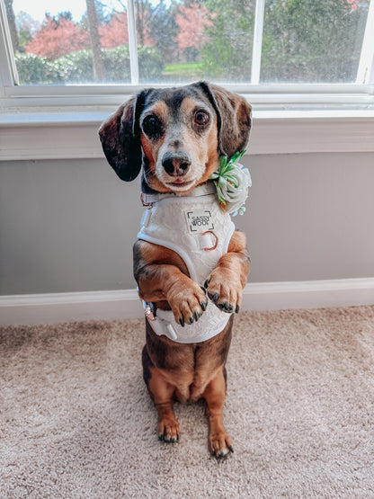 Dog Adjustable Harness - Pup of Honor