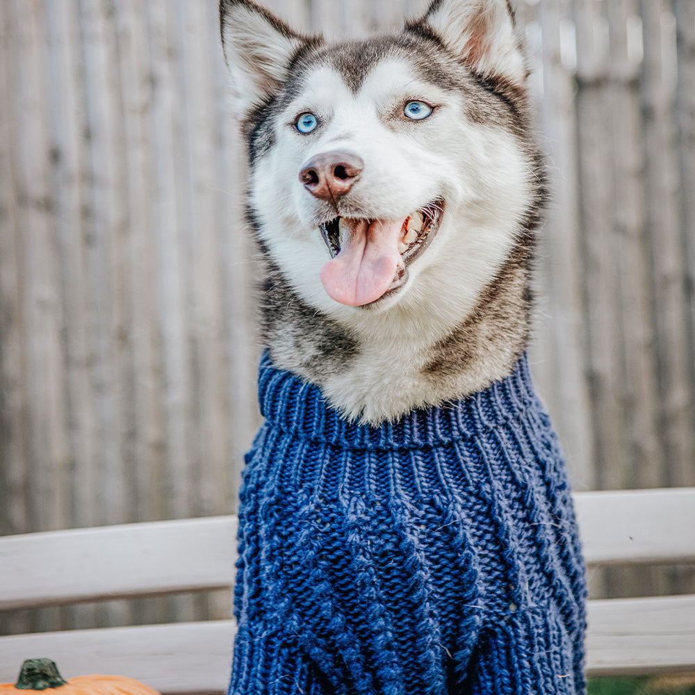 Pet Cable Knit Sweater - Navy