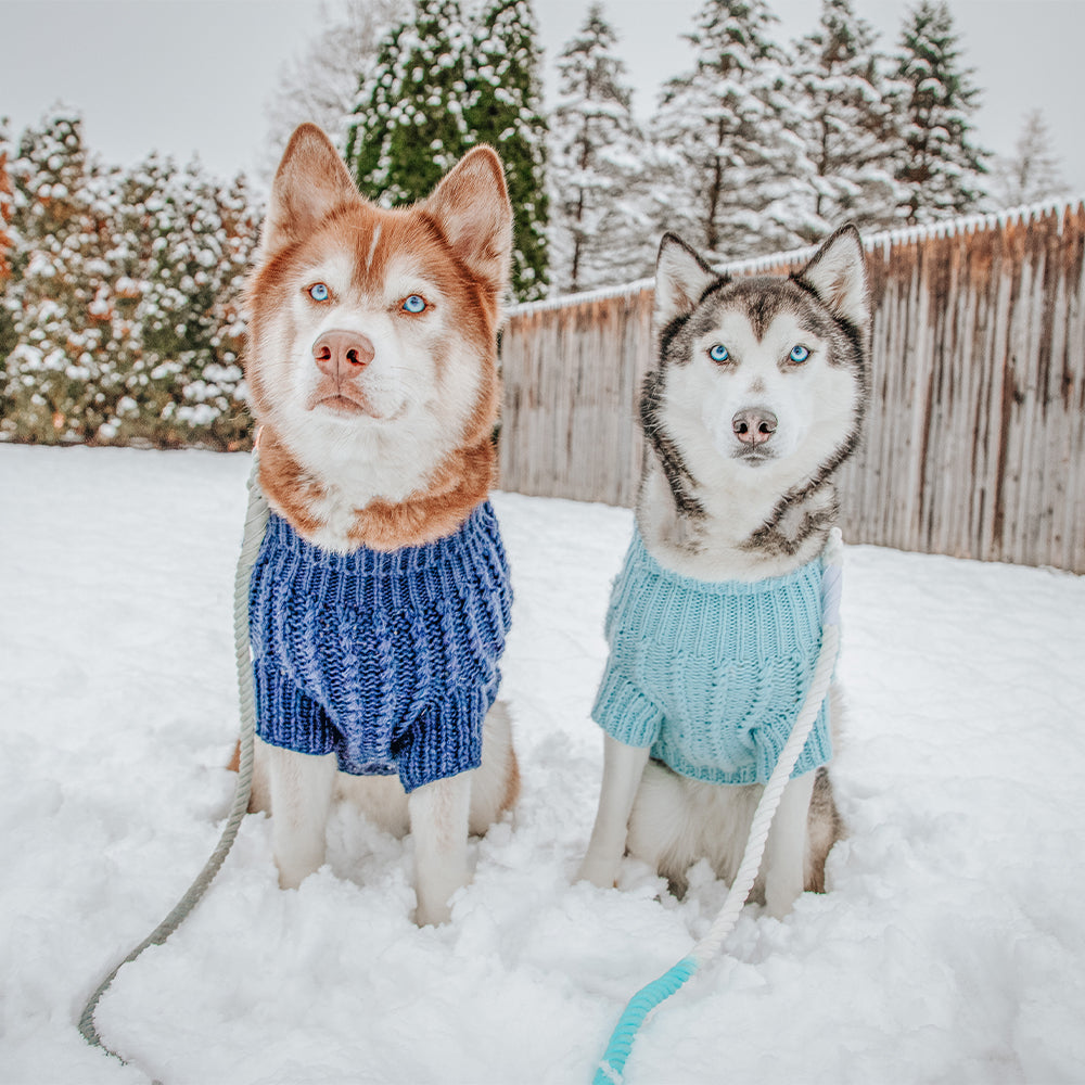 Pet Cable Knit Sweater - Navy