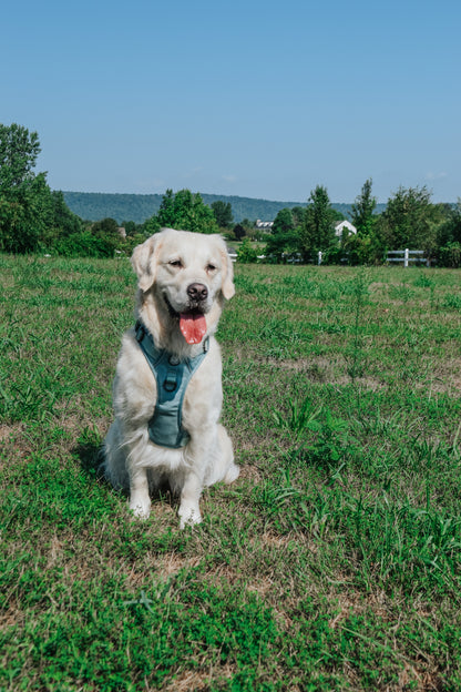 Dog Step-in Harness - Sage