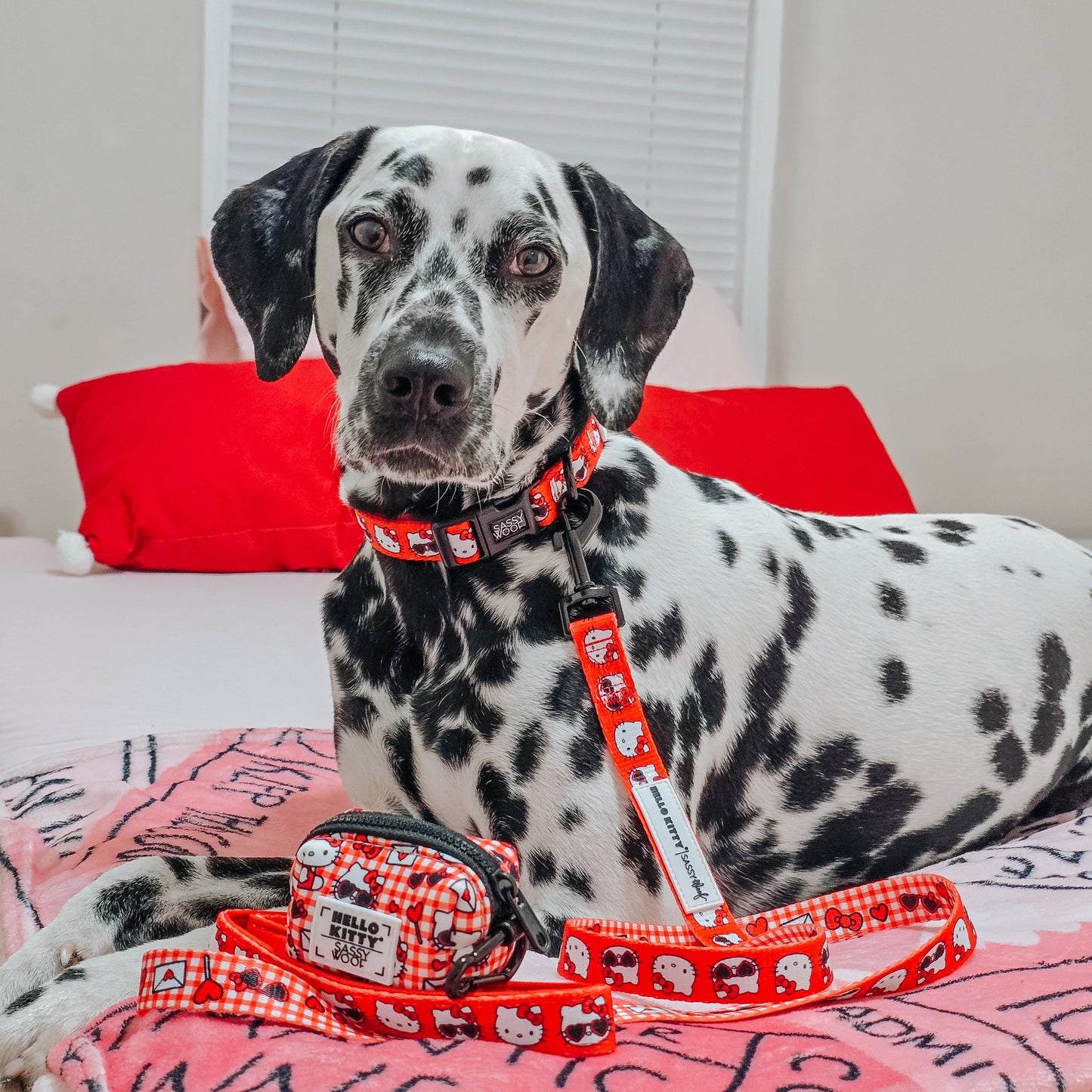 Dog Collar Three Piece Bundle - Hello Kitty® Red Classic