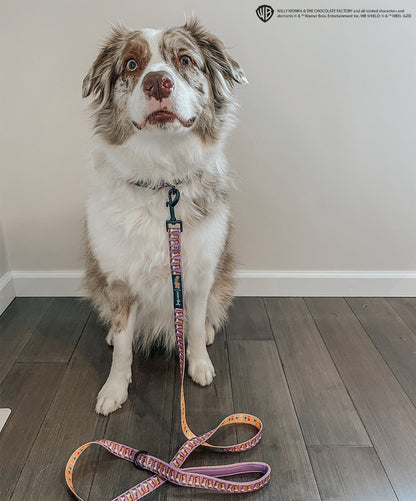 Dog Leash - Willy Wonka & The Chocolate Factory™