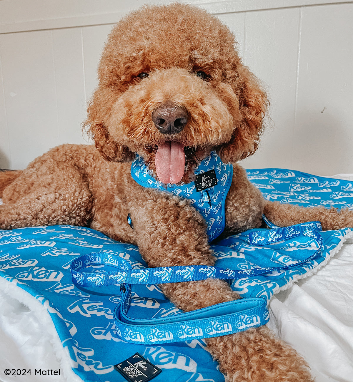 Pet Blanket - KEN™