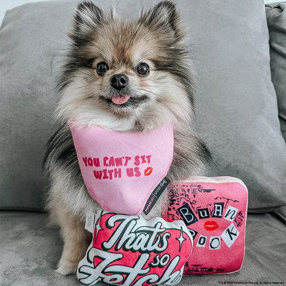 Dog Toy - Mean Girls™