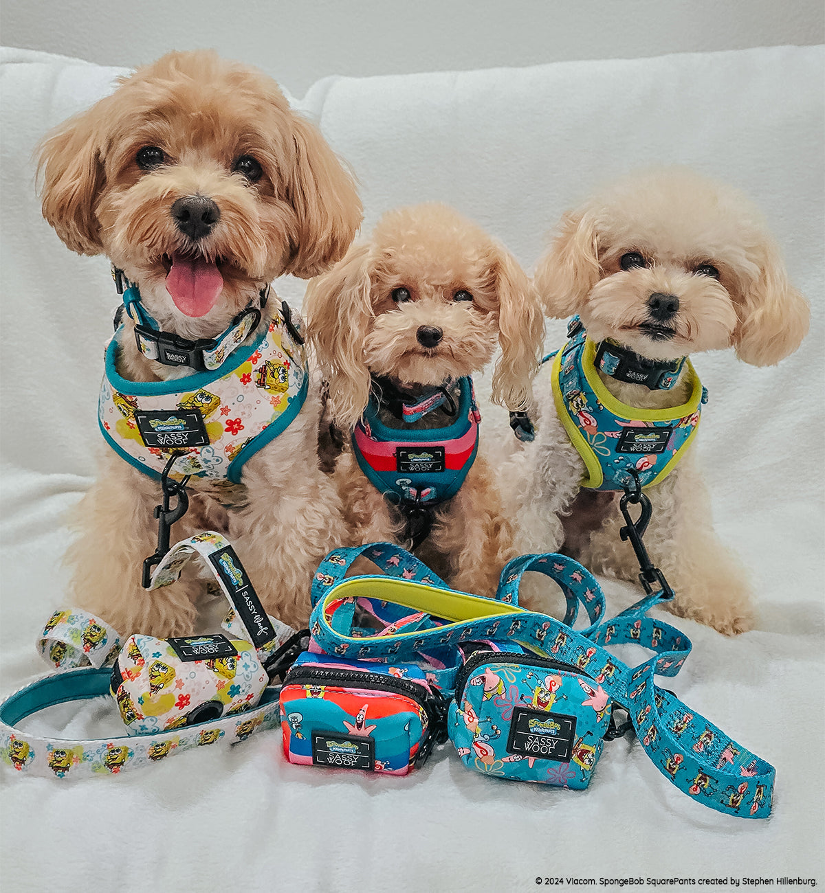 Dog Collar - SpongeBob SquarePants™ Bikini Bottom