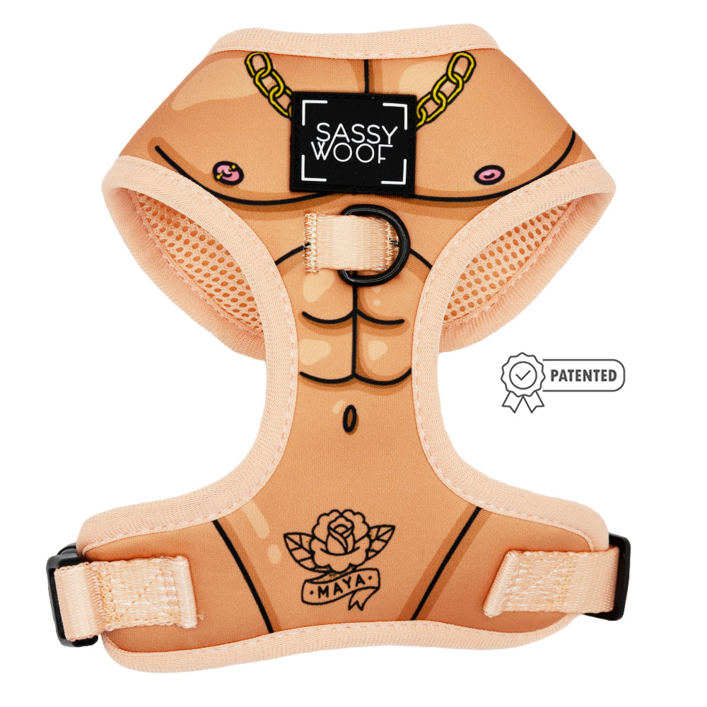 Dog Two Piece Bundle - Muscle Bod