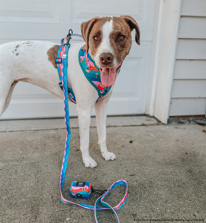 Dog Leash - SpongeBob SquarePants™ and Friends