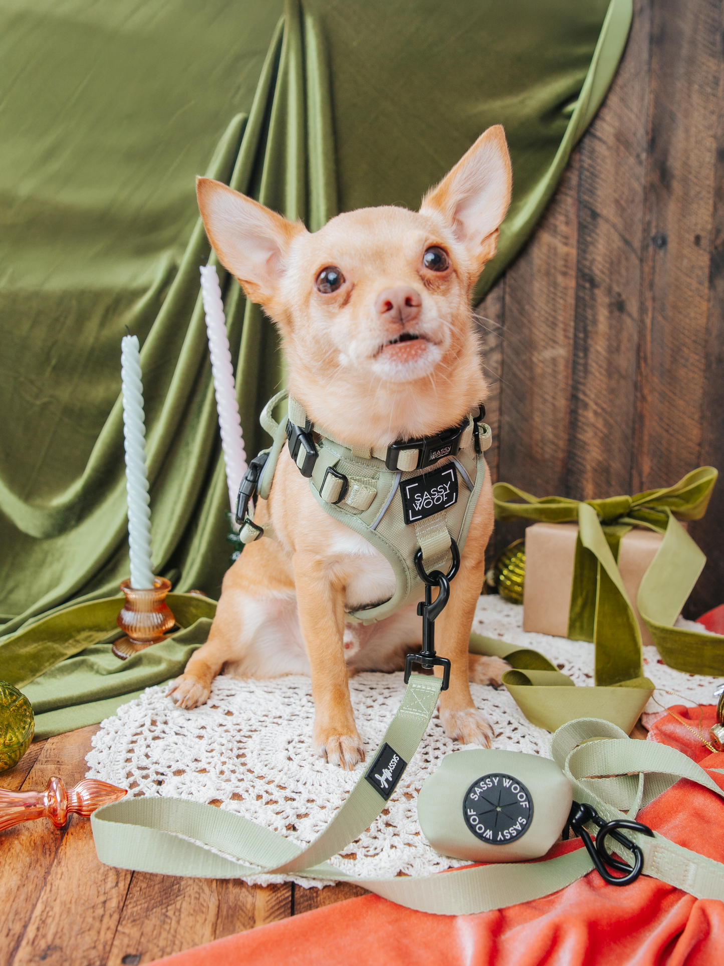 Dog Three Piece Bundle - Matcha