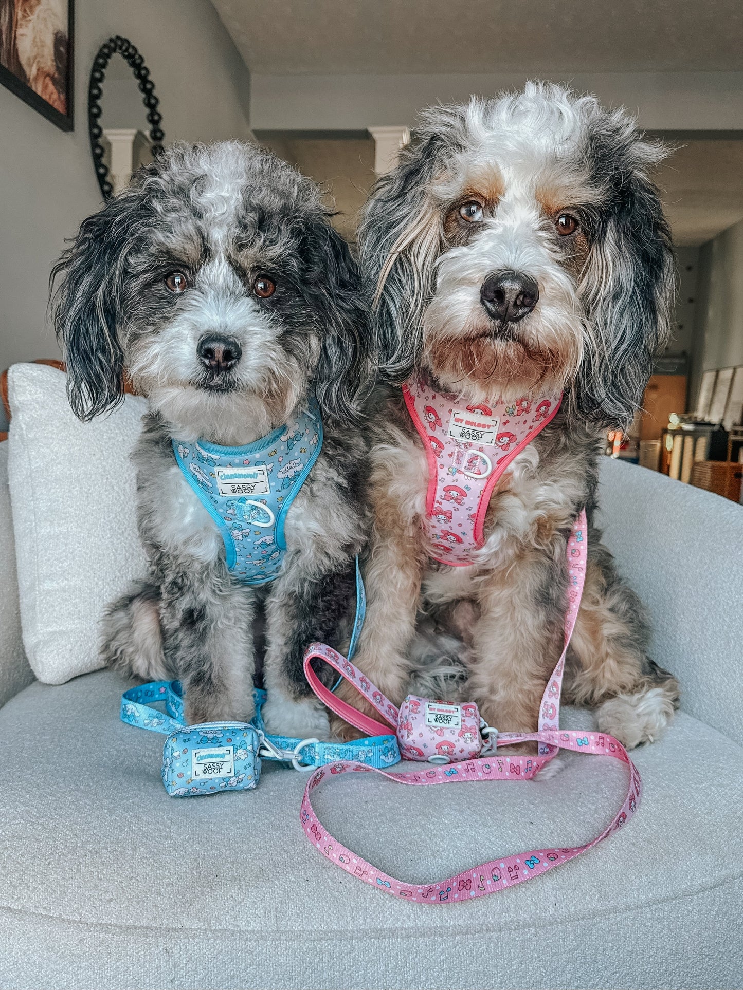 Dog Waste Bag Holder - Cinnamoroll™
