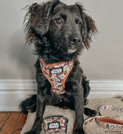 Dog Two Piece Bundle -  STAR WARS™ The Rebel Alliance