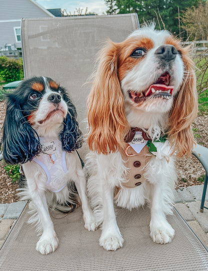 Dog Adjustable Harness - Pup of Honor