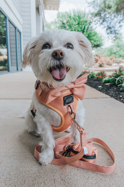 Dog Sailor Bow - Apple Cider