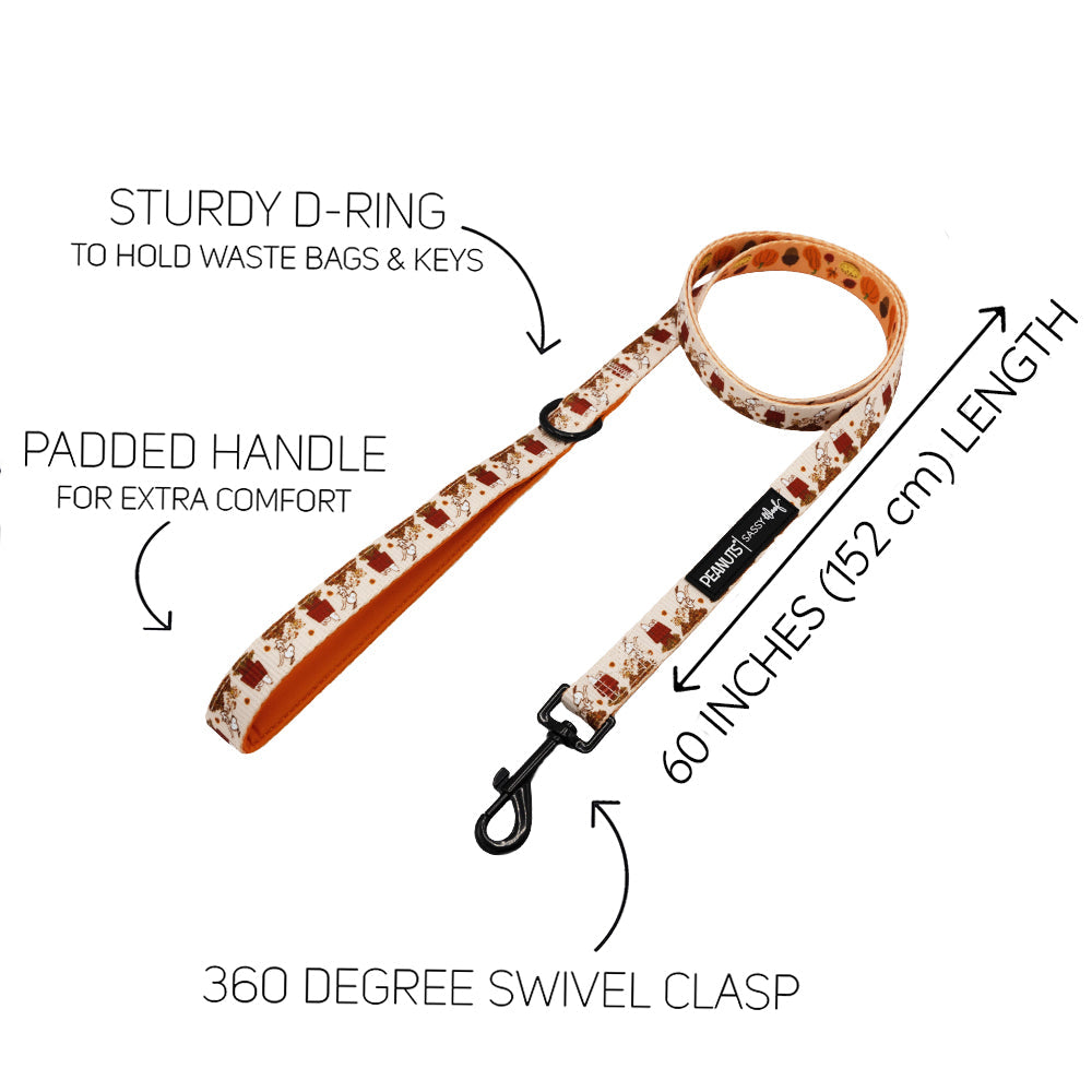 Dog Collar Three Piece Bundle - Peanuts™ Harvest