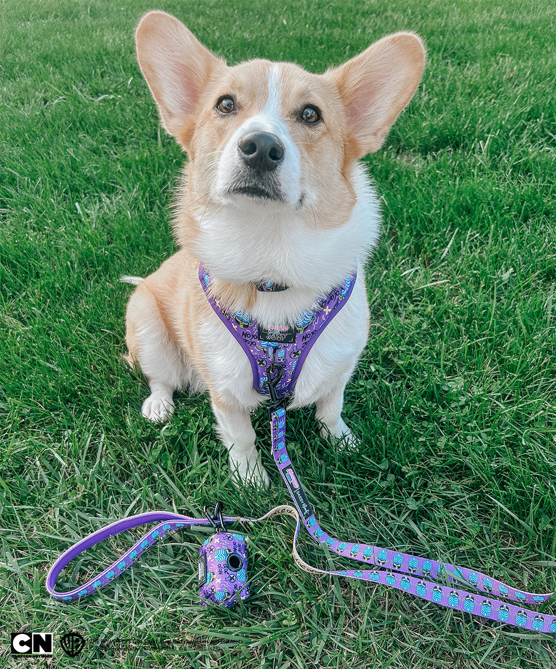 Dog Waste Bag Holder - Mojo Jojo™