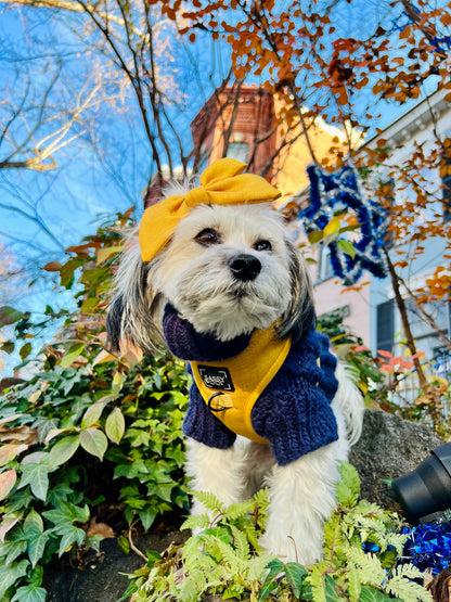 Pet Cable Knit Sweater - Navy