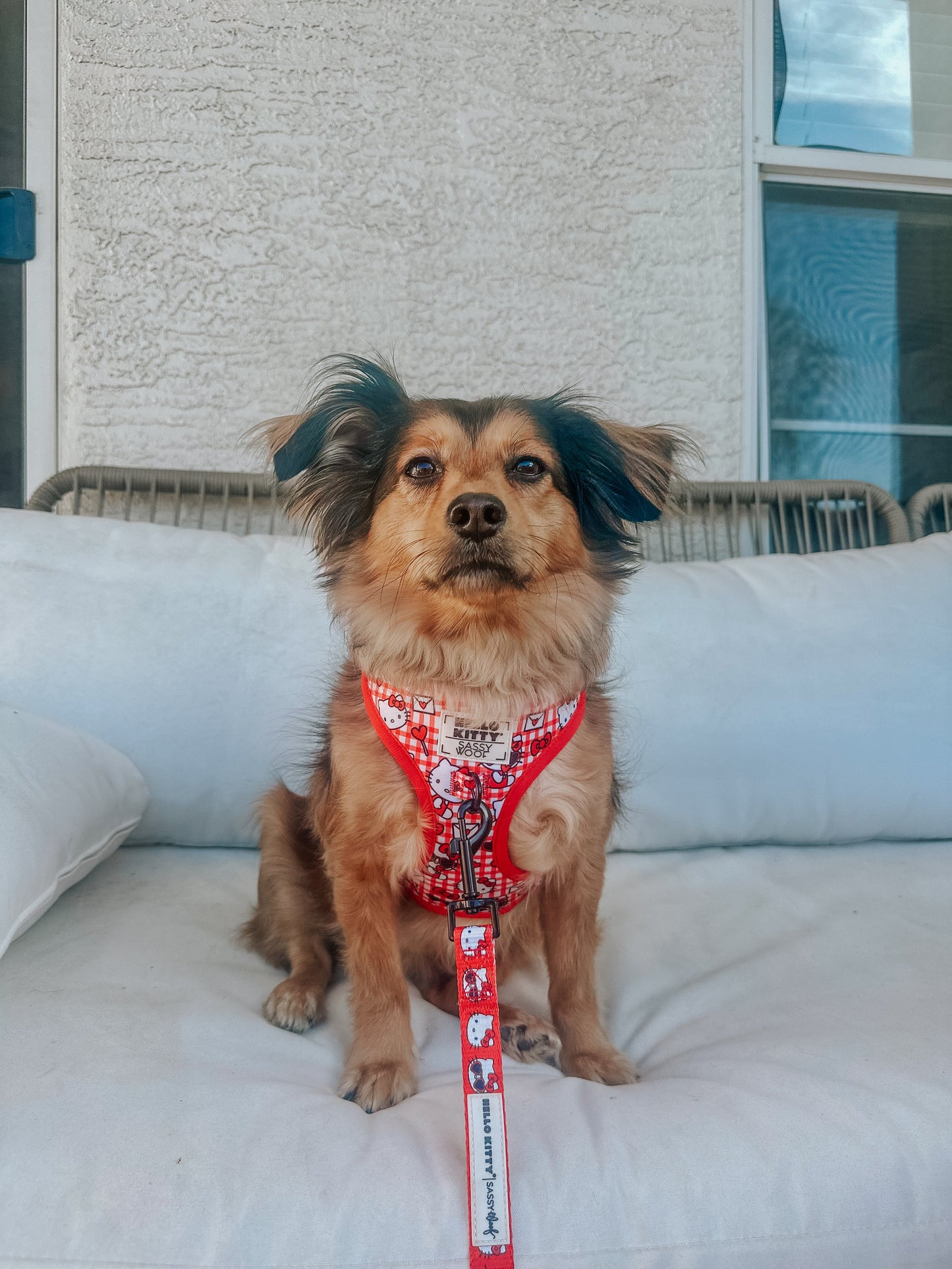 Dog Two Piece Bundle - Hello Kitty® Red Classic