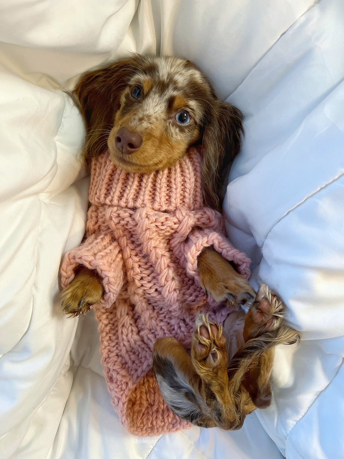 Pet Cable Knit Sweater - Pink