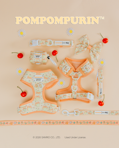Dog Collar Three Piece Bundle - Pompompurin™