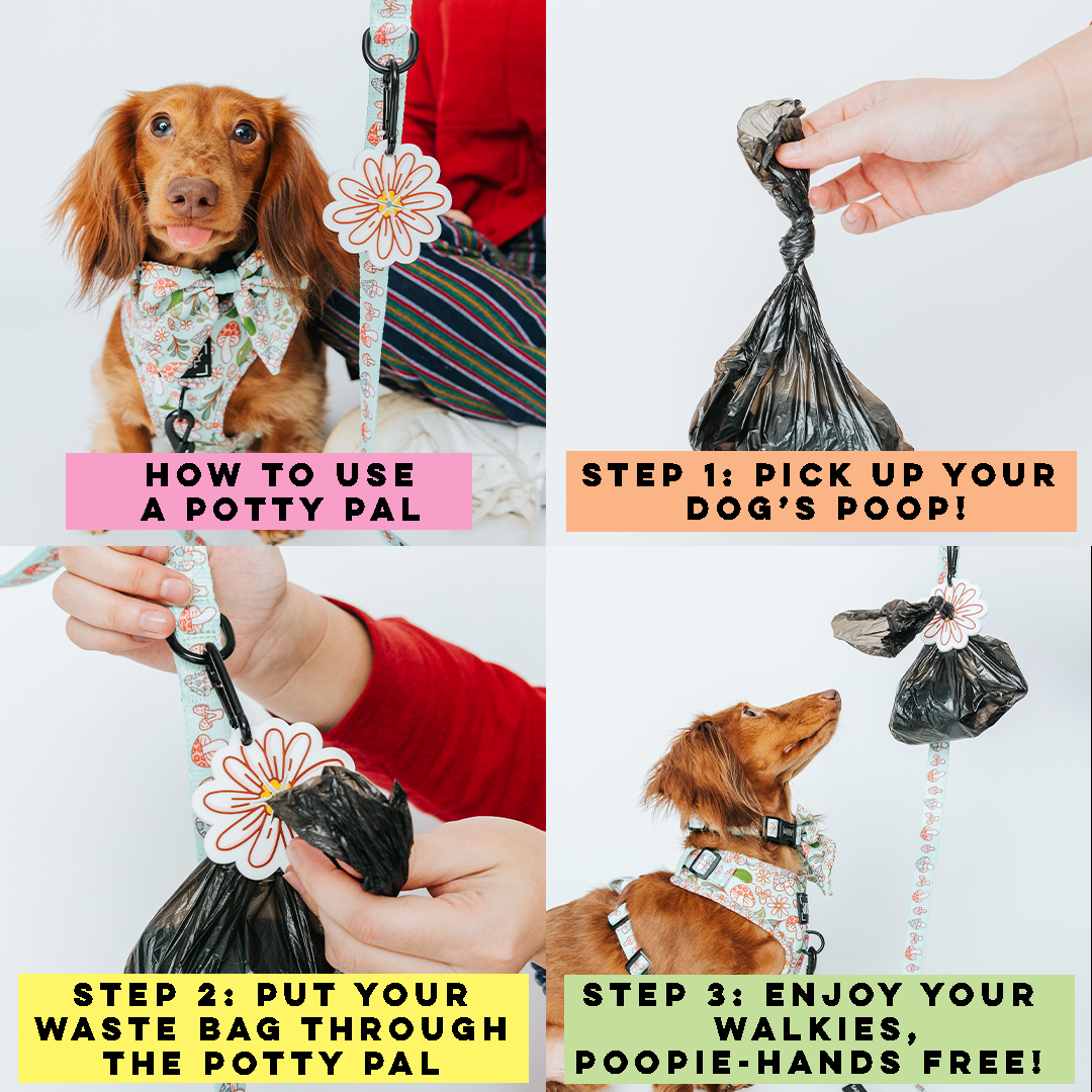 Potty Pal - Seashell