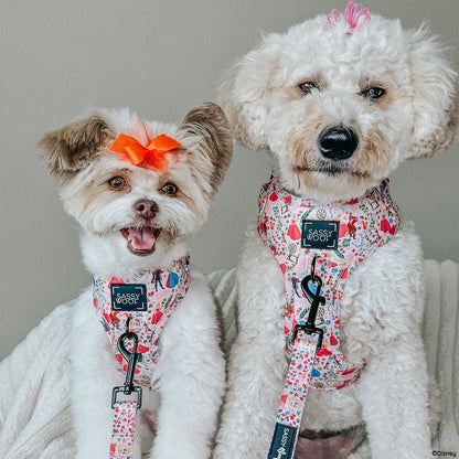 Dog Two Piece Bundle - Disney's Aurora