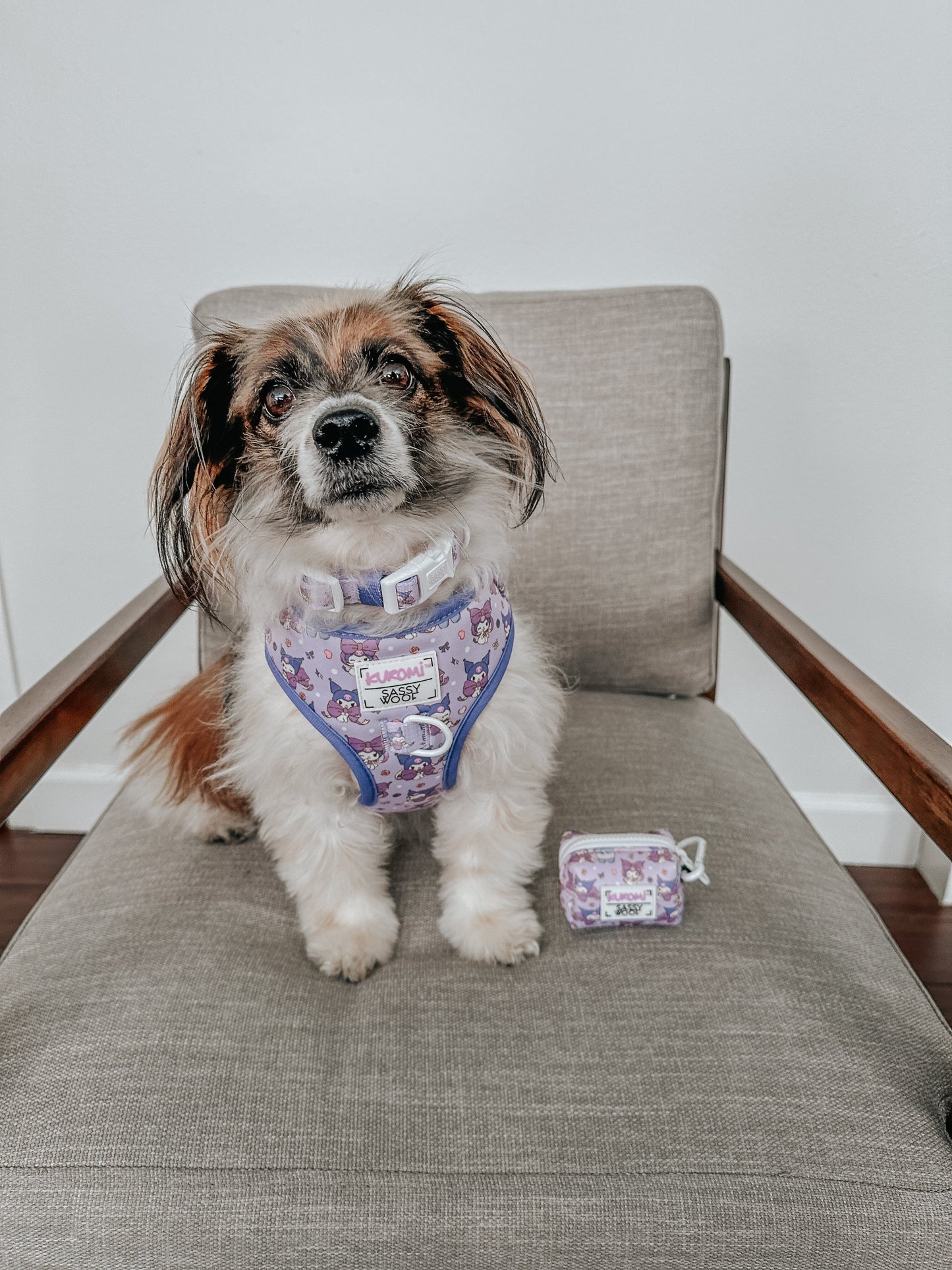 Dog Waste Bag Holder - Kuromi™