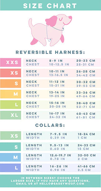 Harness Three Piece Bundle - Harry Potter™ Stamps
