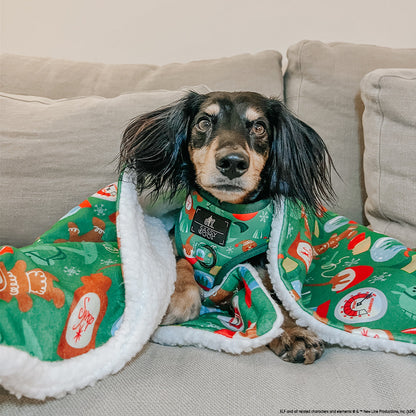 Dog Four Piece Bundle - Elf™