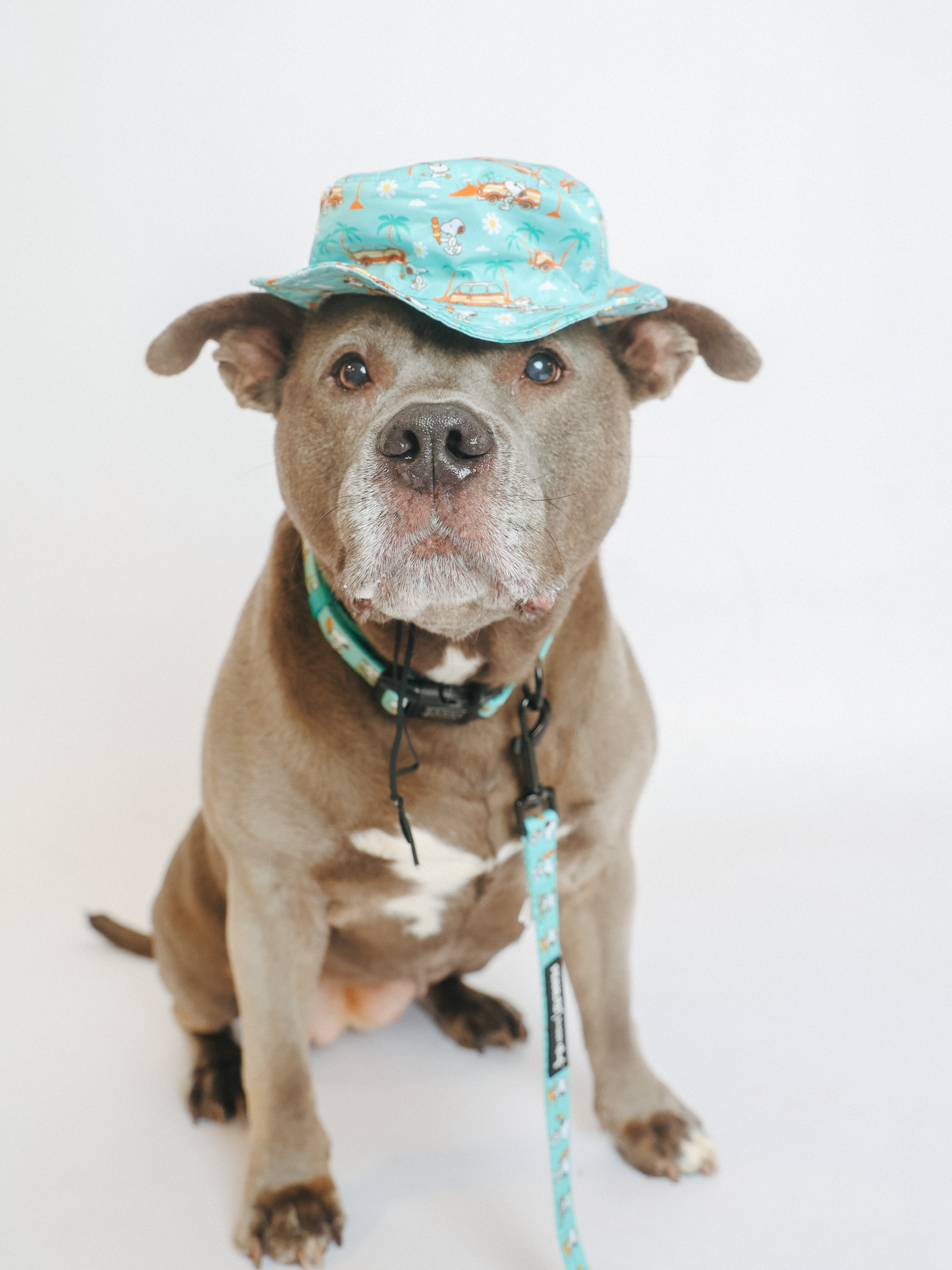 Dog Bucket Hat - Peanuts™ Road Tripping