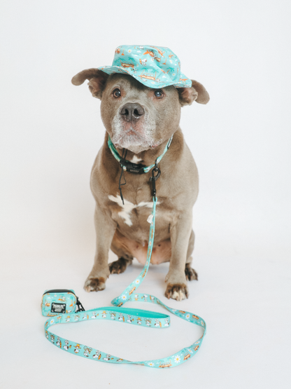 Dog Collar Three Piece Bundle - Peanuts™ Road Tripping