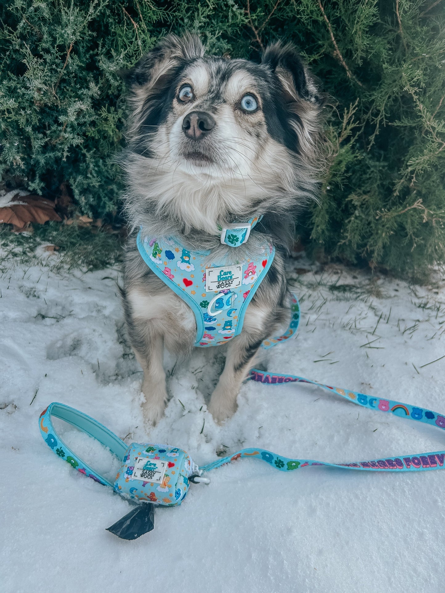 Dog Adjustable Harness - Care Bears™ Care-a-Lot