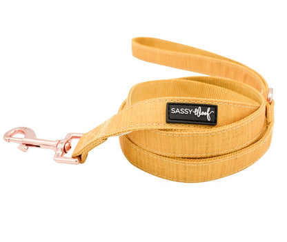 Dog Collar Three Piece Bundle - Sunflower Fields