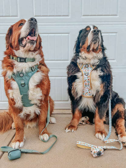 Dog Four Piece Bundle - Sunflower Dreams