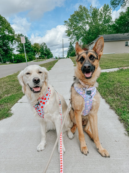 Dog Two Piece Bundle - Fleur de Sass