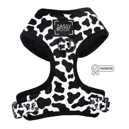 Dog Two Piece Bundle - Whole Milk