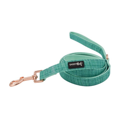 Dog Collar Three Piece Bundle - Wag Your Teal