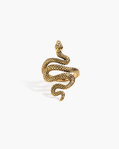 Serpent Ring in Silver