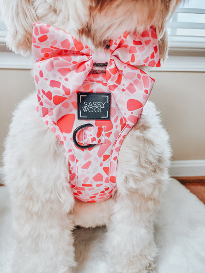Dog Sailor Bow - Mykonos